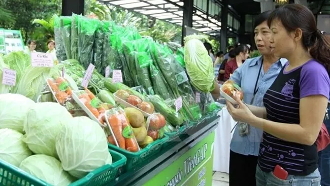 Vietnam's vegetable and fruit exports to the EU still remain limited.