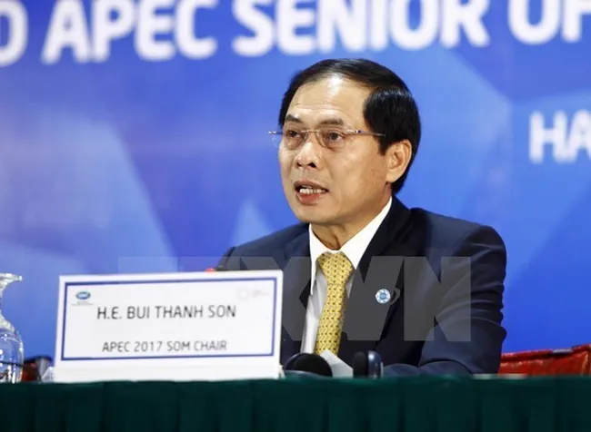 Bui Thanh Son, Vietnamese Deputy Minister of Foreign Affairs (Photo: VNA)