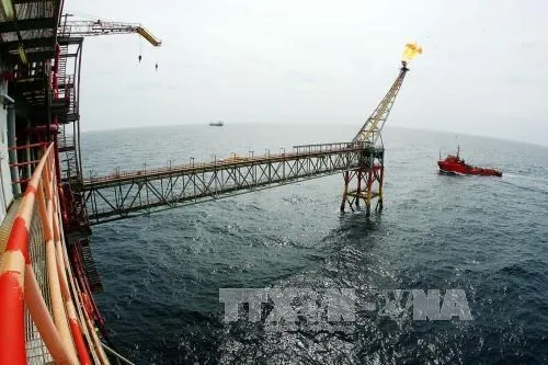 CNTT-3 platform in Bach Ho field, one of the Vietsovpetro's oil fields . (Photo: VNA)