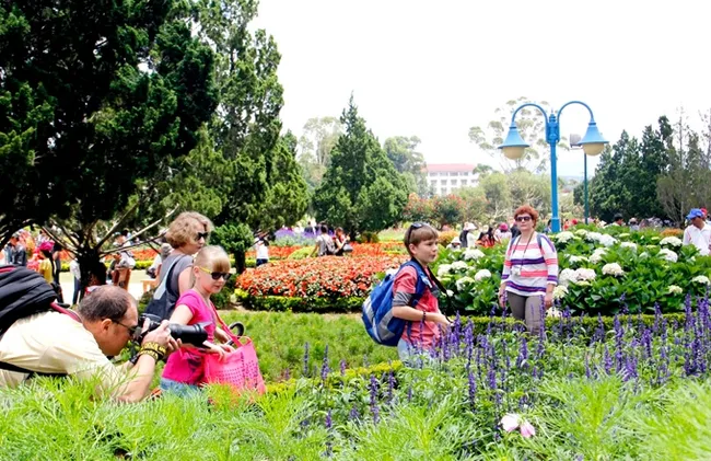 (Photo illustrated: NDO)