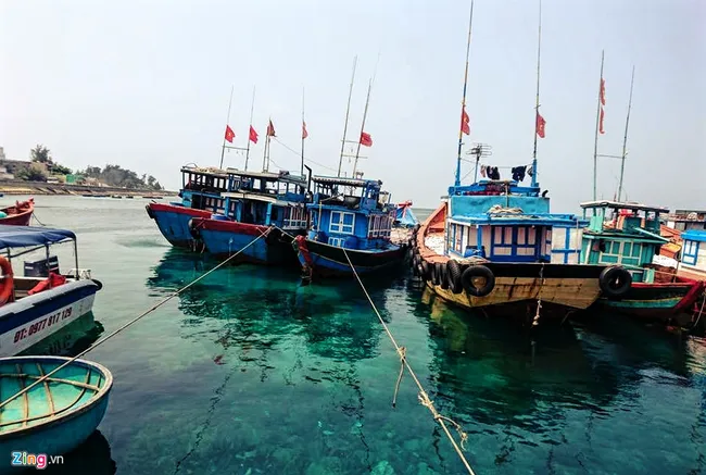 Ly Son Island (Photo illustrated: Zing)