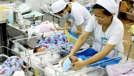 (Photo illustrated: Tien Phong)