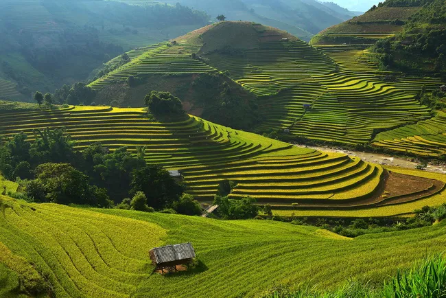 Rice terraces in Mu Cang Chai(Photo: placeaholic.com)