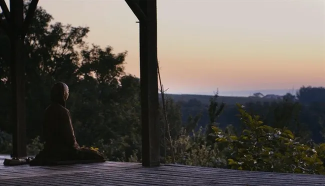 On screen: A scene from Walk With Me.