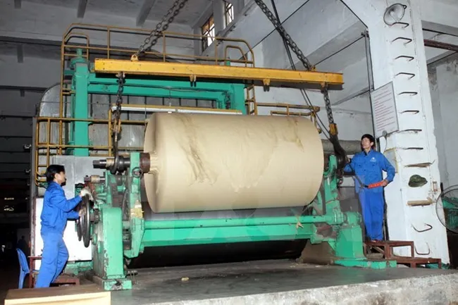 Indonesian embassy promotes palm oil, paper trade with Vietnam (Photo illustrated: VNA)