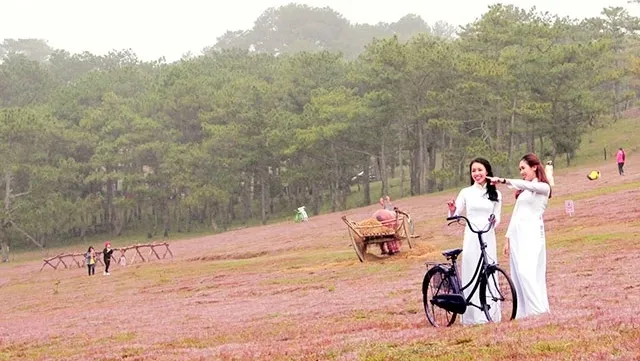 Romantic spaces are set up on the pink grass hill during the event for tourists to visit and check in.