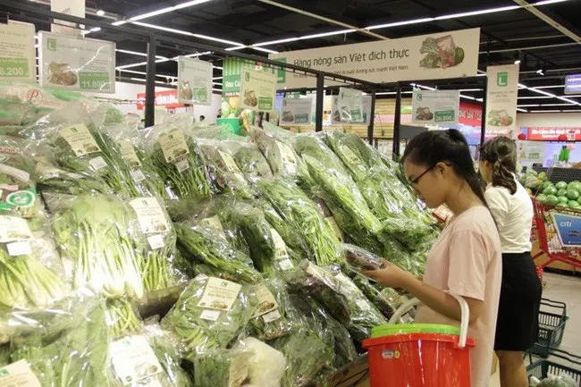 (Photo illustrated: plo.vn)