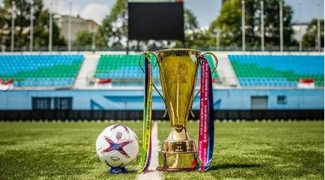 The AFF Suzuki Cup Trophy. (Photo zadn.vn)