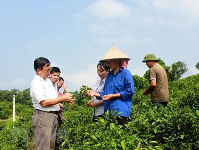 Illustrative photo (Photo: VNA)