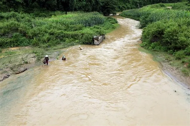 People catch fishes in Nam Nua stream of Dien Bien province (Photo: VNA)