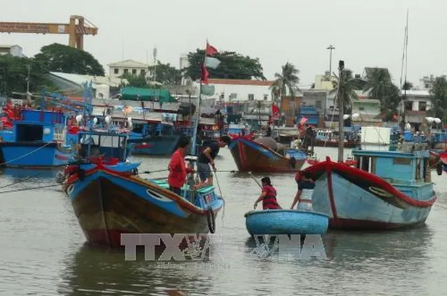 Illustrative image (Source: VNA)