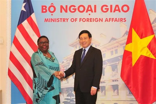 Deputy Prime Minister and Foreign Minister Pham Binh Minh (R) meets wth Liberian Foreign Minister Marjon Vashti Kamara in Hanoi on December 8