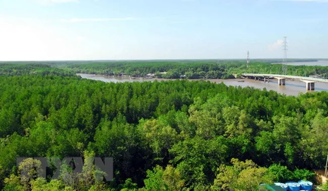 Illustrative photo (Photo: VNA)