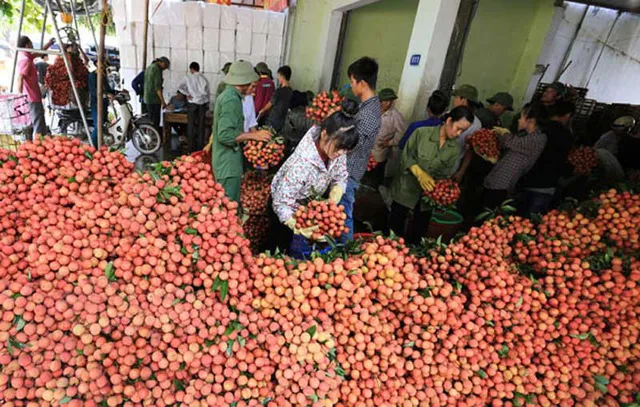 (Photo: dantri.com.vn)