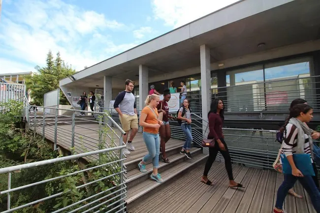 Illustrative image (Source: Paul-Valéry University, Montpellier 3 )