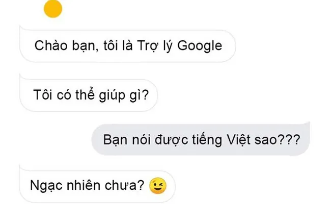 Google Assistant has learnt to speak Vietnamese.

(Photo: vnreview.vn)