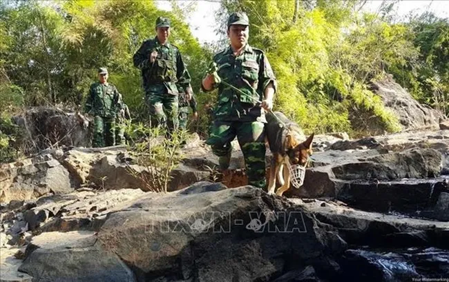 Vietnam's border force in a border patrol session (Source: VNA)