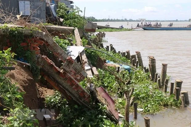 Residents affected by landslides in Ca Mau will be moved to safety thanks to a 1.5 million USD resettlement project. (Photo: VNA)