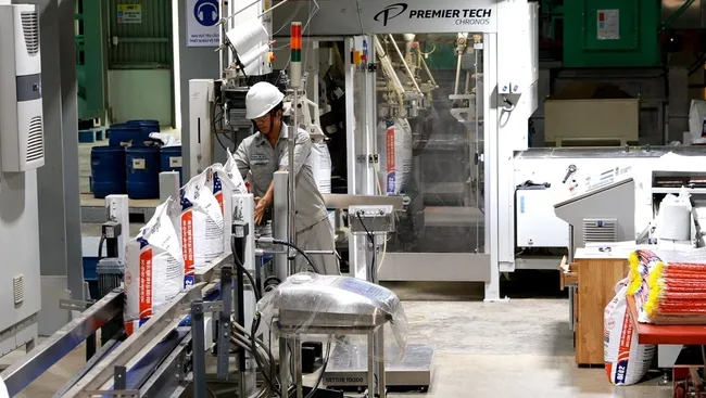 Manufacturing and processing are expected to continue being the key drivers of economic growth