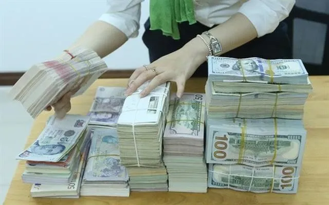Firms will have to buy foreign currencies instead of borrowing from banks (Photo: cafef.vn)