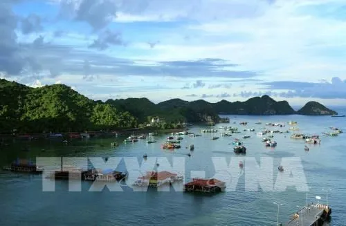 A corner of Cat Ba tourism site (Source: VNA)