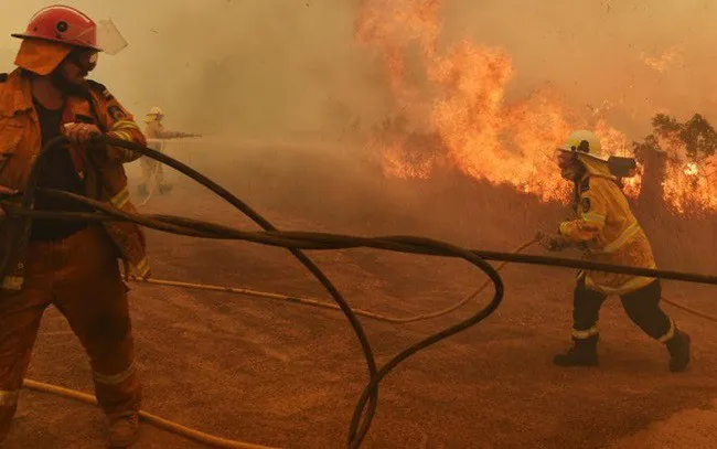 (Photo: Dailytelegraph)