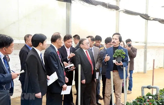 A representative of the Da Lat Hasfarm Company introduces guests to the hi-tech flower production. (Photo: VNA)