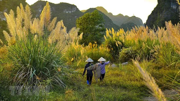 Ninh Binh is home to Trang An Landscape Complex - which is recognised by UNESCO as the world’s mixed cultural and natural heritage, the first of its kind in Southeast Asia. (Photo: VNA)