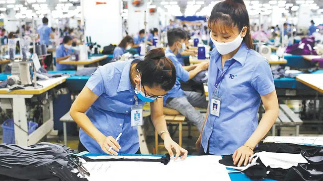 A website is soon to be built for collecting information on the economy's top 1,000 enterprises. (Photo: Hoang Nam)