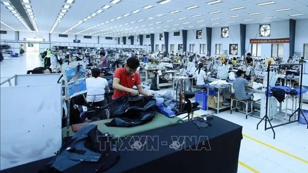 The World Bank forecasts that Vietnam’s GDP growth could reach 2.8% in 2020. (Photo: VNA)