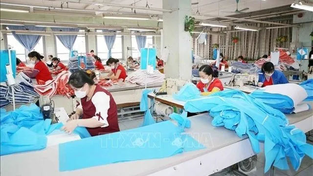 Illustrative image (Photo: VNA)