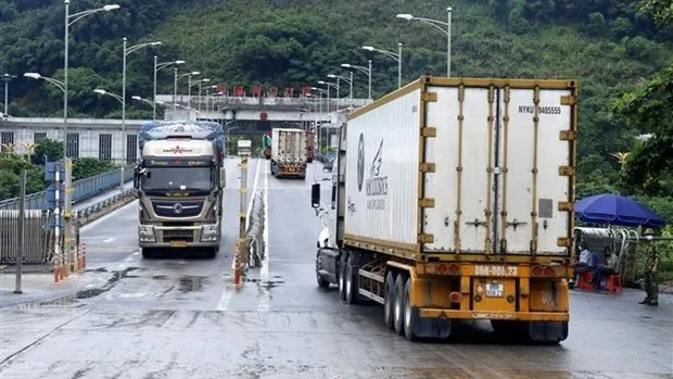 Containers transporting dragon fruit to China (Photo: VNA)