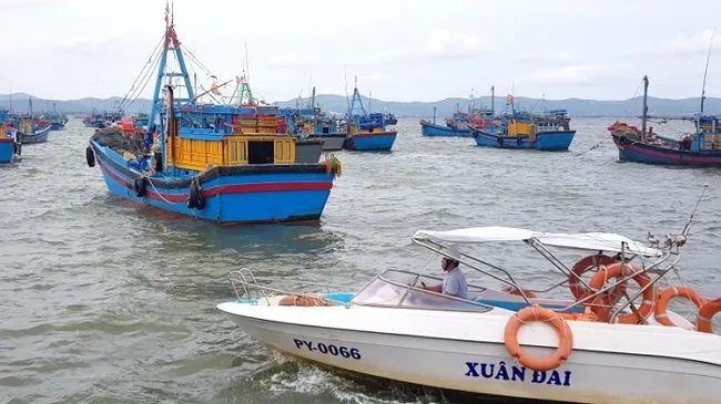 Boats safely moored at Dan Phuoc fishing port, Song Cau town in Phu Yen province. (Photo: NDO/Trinh Ke)