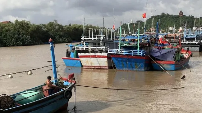 Fishermen in Phu Yen Province anchor their boats against approaching Storm Goni. (Photo: NDO)