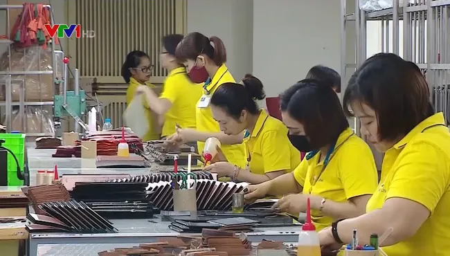 Illustrative image (Photo: VNA)