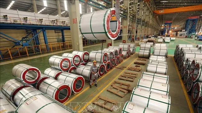 The Ministry of Industry and Trade has extended the application of measures on preventing evasion of safeguard duty to rolled steel and steel wire imported to Vietnam. (Illustrative image/VNA)