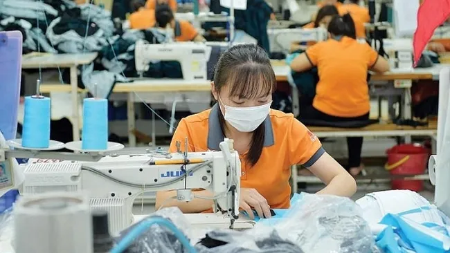 The survey will cover all enterprises across all economic sectors.