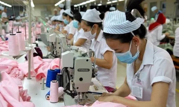 Workers of a garment factory in Vietnam. (Photo: VNA)