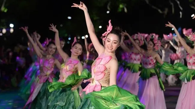 A performance at the street carnival (Photo: The thao - Van hoa)