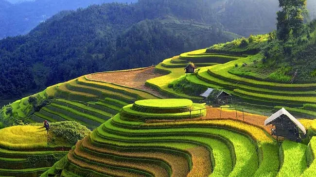 The annual Vietnam Heritage Photo Awards aim to advertise the land and people of Vietnam, especially the country’s internationally recognised heritages. (Illustrative image)