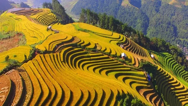 The charming beauty of Mu Cang Chai terraced fields.