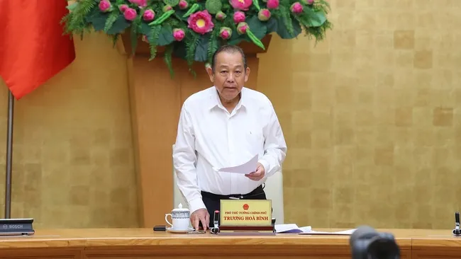 Deputy PM Truong Hoa Binh speaking at the conference (Photo: VGP)