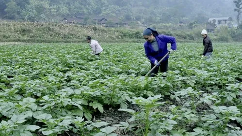 Image for illustration