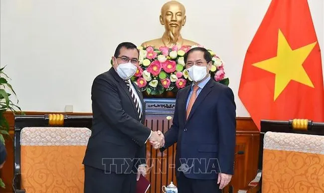 Minister of Foreign Affairs Bui Thanh Son receives Ambassador of Panama Eligio Alberto Salas De León. (Photo: VNA)