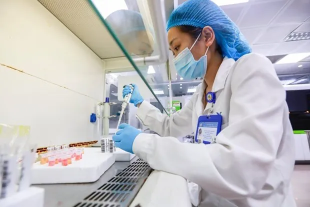 A health worker handles samples collected for COVID-19 testing (Photo: VNA)
