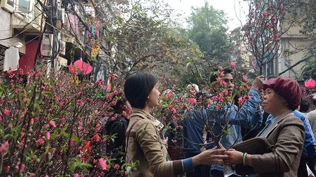 Hang Luoc flower market (Photo: NDO)
