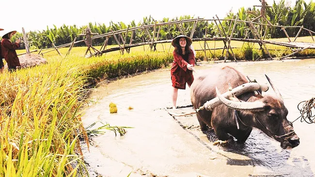 Hoi An offers unique farming experience (Photo: DOAN NGUYEN)
