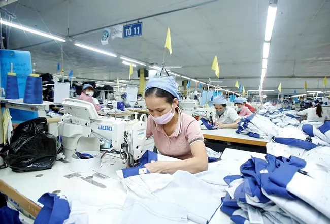 According to Transport Intelligence data, around 40% of Vietnam's exports go to the US and the EU. (Photo: VNA)