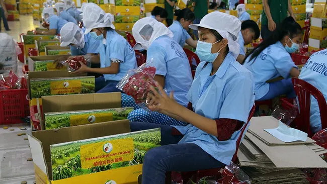 There is good reason to believe that the export of fruit and vegetables will continue to post strong growth in the coming months.