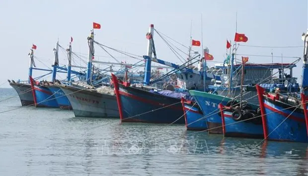 Fishing boats of Vietnam (Photo: VNA)